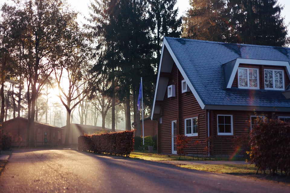 House with flag